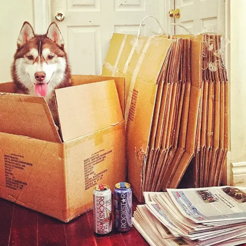 1795C340-172F-411D-8119-8FCB91338698